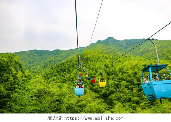 旅游风景竹林缆车背景图片